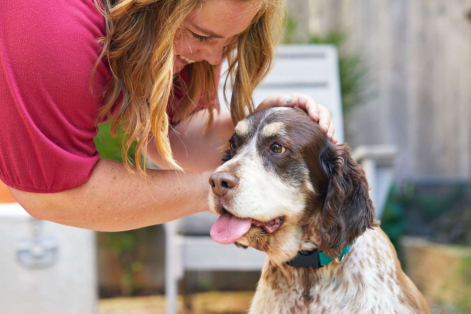 Making Your Dog A Service Dog A Step-by-Step Guide | AzAnimal